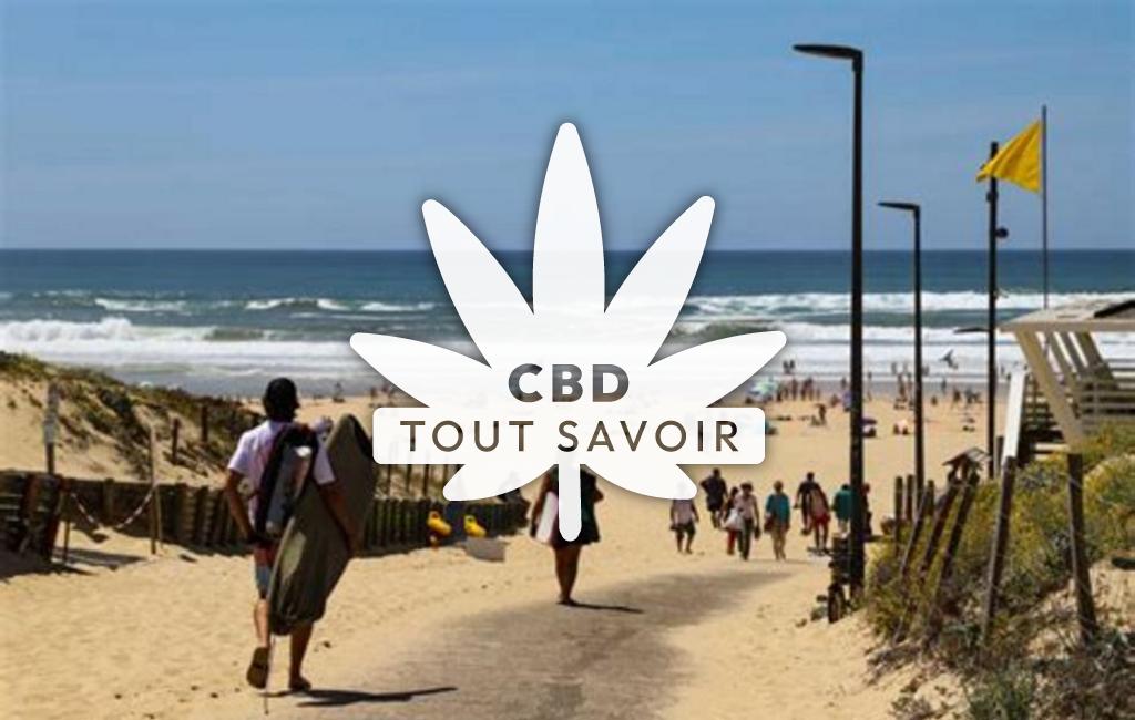Village à Moliets-Et-Maa avec feuille Cannabis CBD
