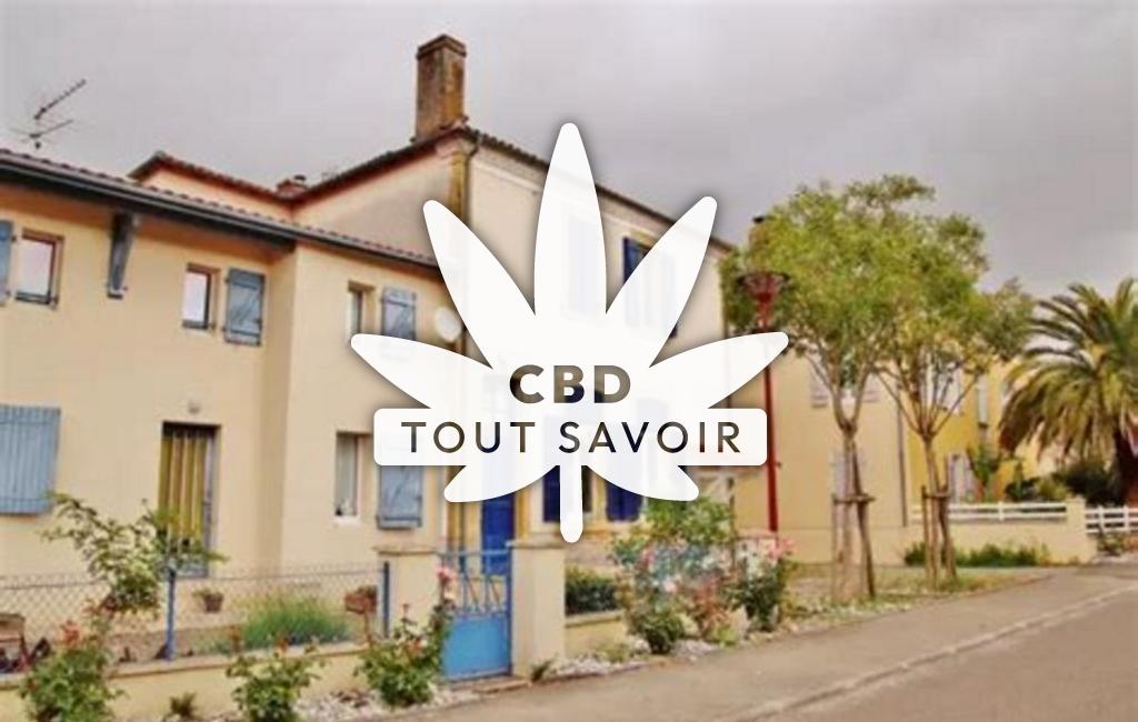 Village à Aubagnan avec feuille Cannabis CBD