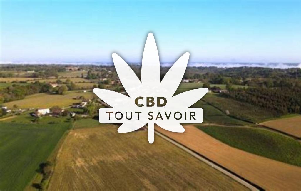 Village à Beyries avec feuille Cannabis CBD