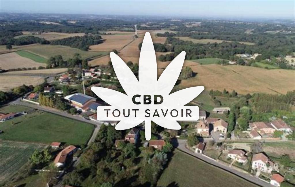 Village à Castaignos-Souslens avec feuille Cannabis CBD