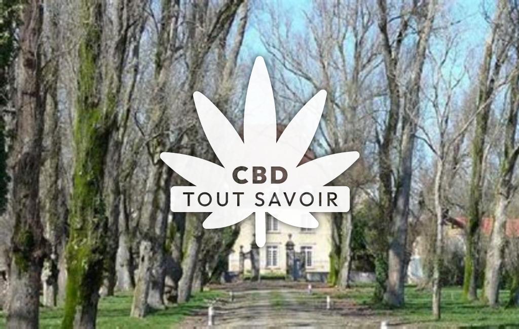 Village à Doazit avec feuille Cannabis CBD