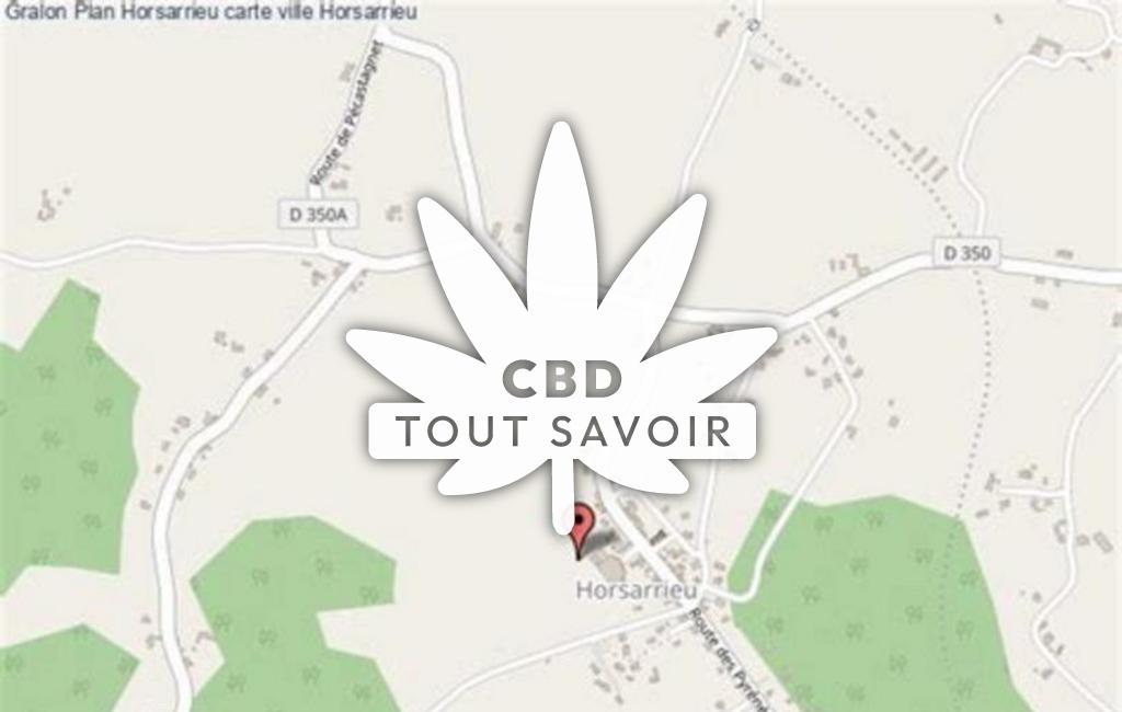 Village à Horsarrieu avec feuille Cannabis CBD