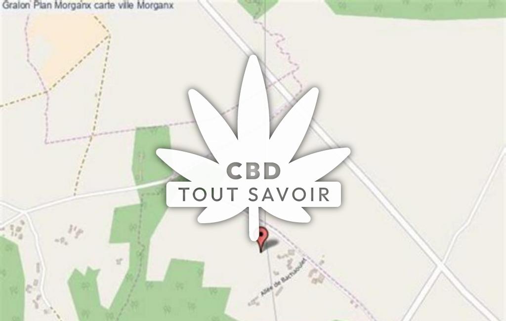 Village à Morganx avec feuille Cannabis CBD