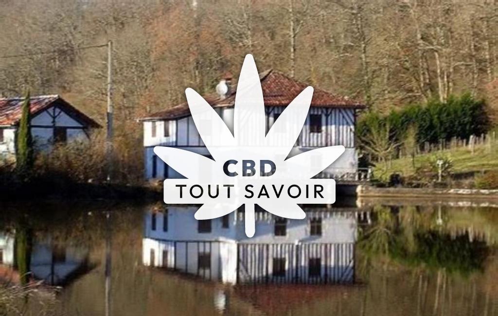 Village à Duhort-Bachen avec feuille Cannabis CBD