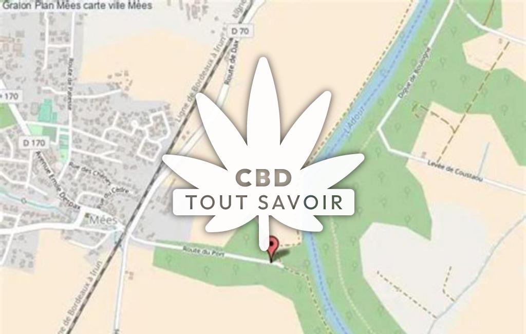 Village à Mees avec feuille Cannabis CBD
