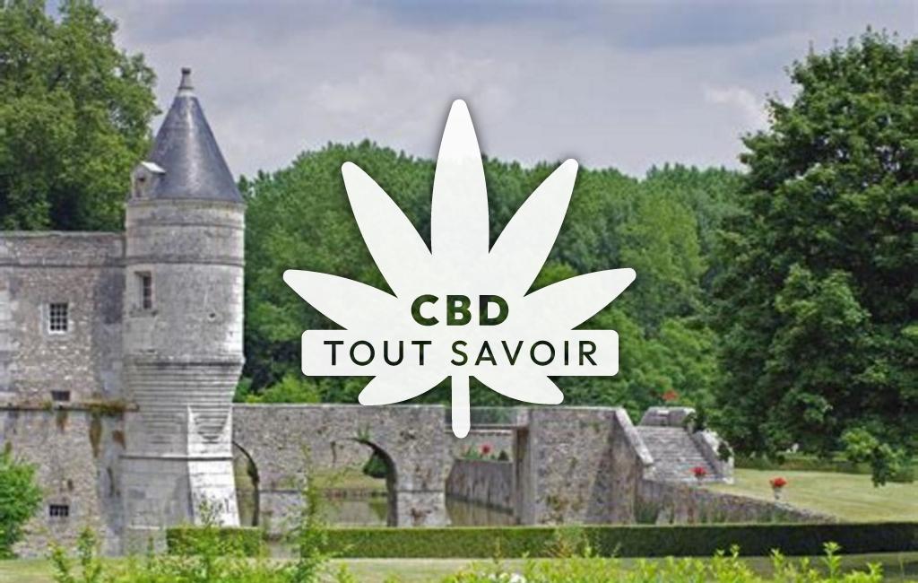 Village à Saint-Denis-sur-Loire avec feuille Cannabis CBD