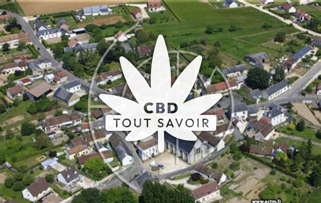 Village à Coulommiers-la-Tour avec feuille Cannabis CBD