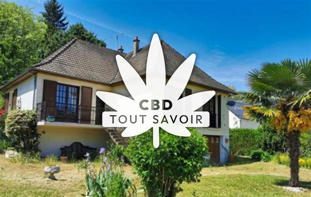 Village à Seigy avec feuille Cannabis CBD