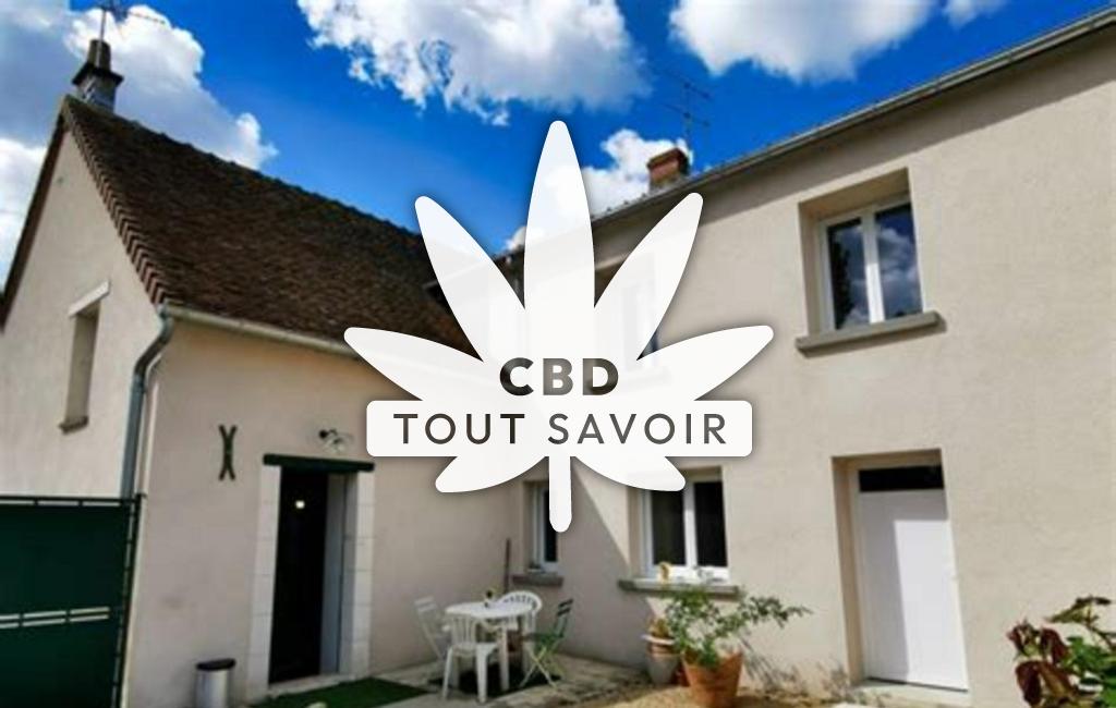 Village à Meusnes avec feuille Cannabis CBD