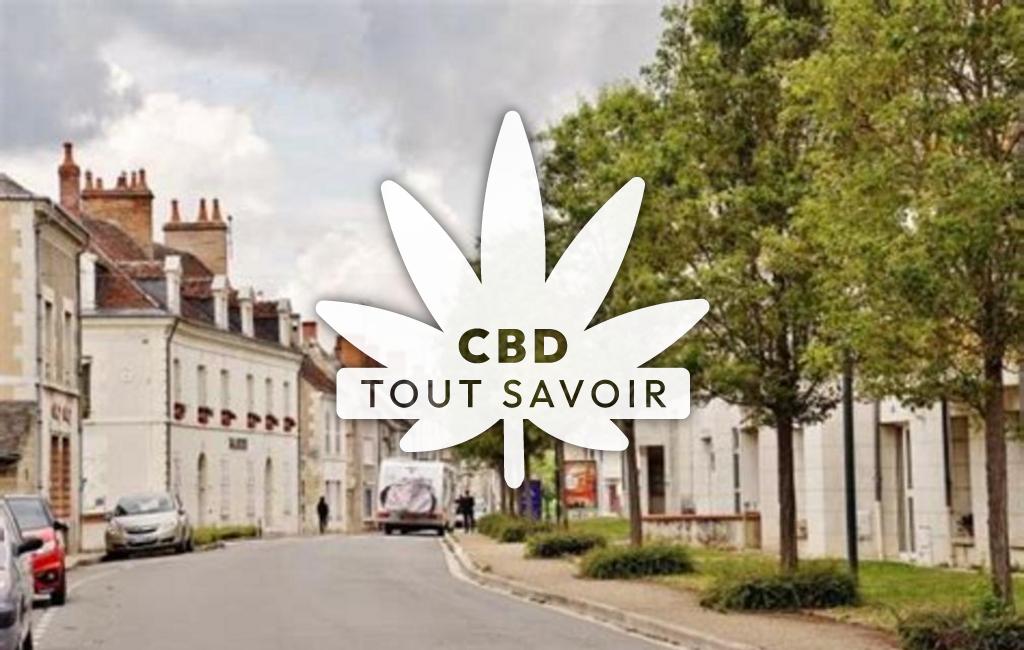 Village à Noyers-sur-Cher avec feuille Cannabis CBD