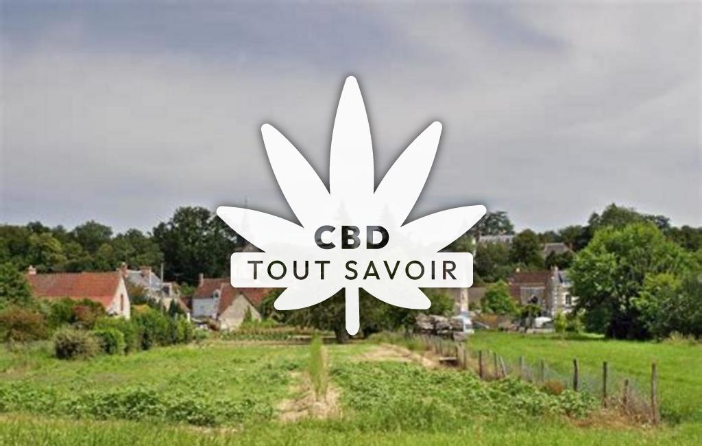 Village à Rilly-sur-Loire avec feuille Cannabis CBD
