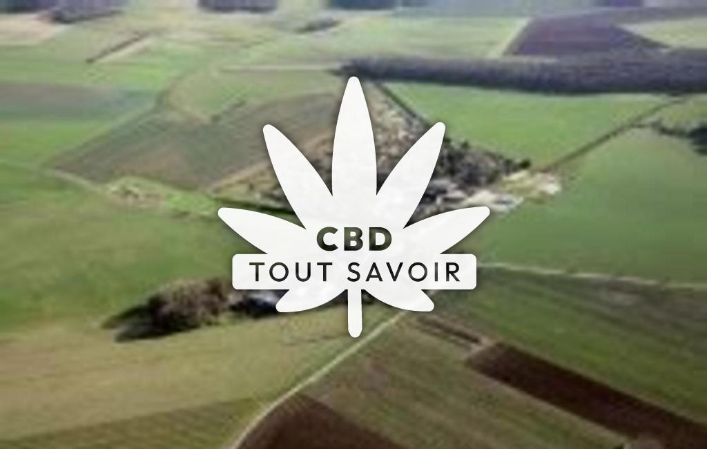 Village à Valloire-sur-Cisse avec feuille Cannabis CBD