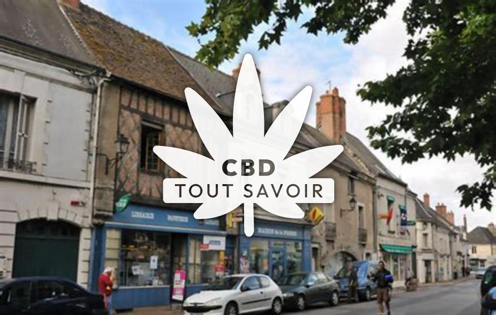 Village à Veuzain-sur-Loire avec feuille Cannabis CBD