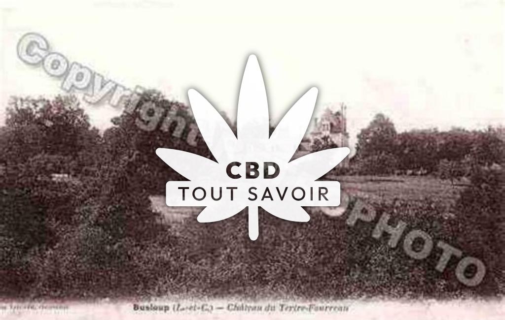 Village à Busloup avec feuille Cannabis CBD