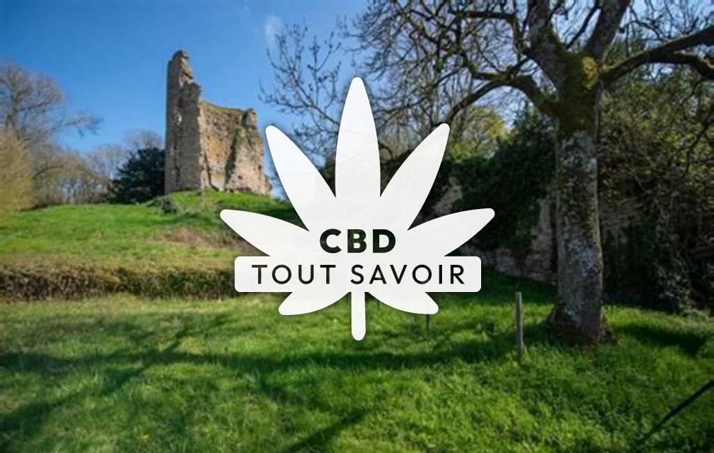 Village à Freteval avec feuille Cannabis CBD