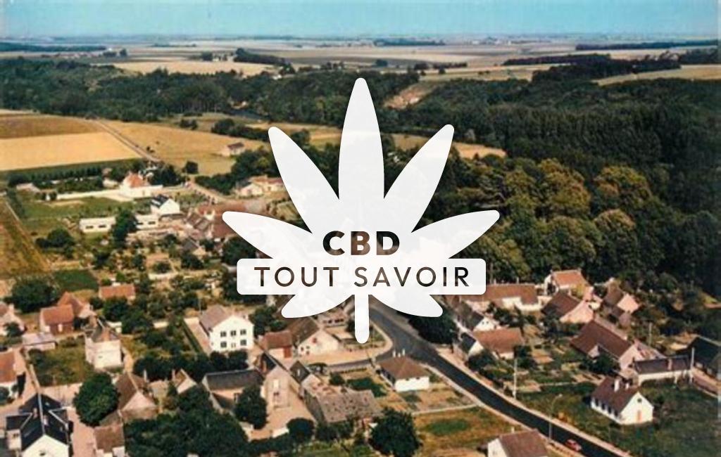 Village à Saint-Jean-Froidmentel avec feuille Cannabis CBD