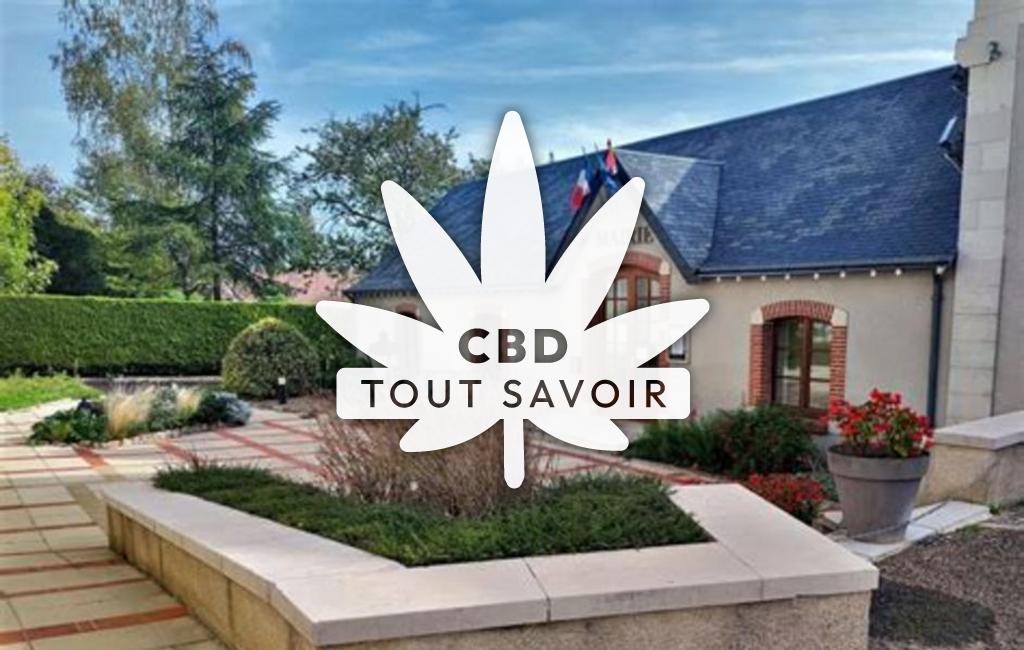 Village à Saint-Lubin-en-Vergonnois avec feuille Cannabis CBD