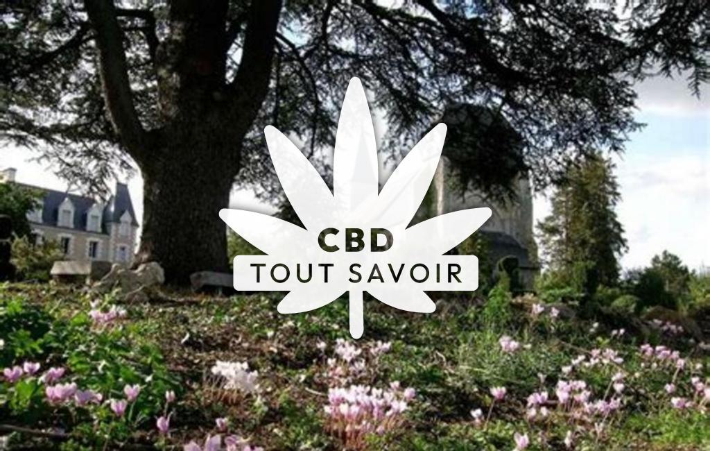 Village à Valencisse avec feuille Cannabis CBD