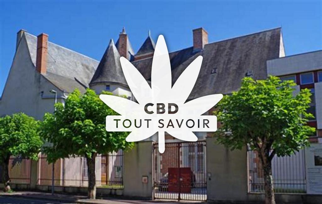 Village à Pruniers-en-Sologne avec feuille Cannabis CBD