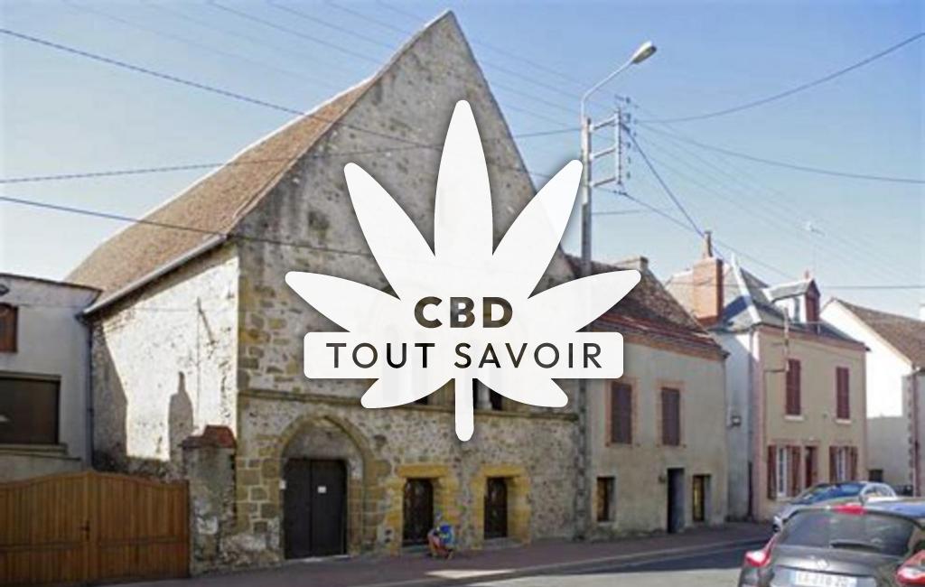 Village à Villefranche-sur-Cher avec feuille Cannabis CBD