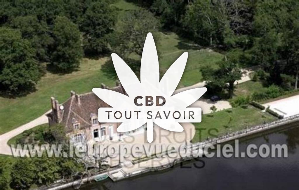 Village à Marcilly-en-Gault avec feuille Cannabis CBD