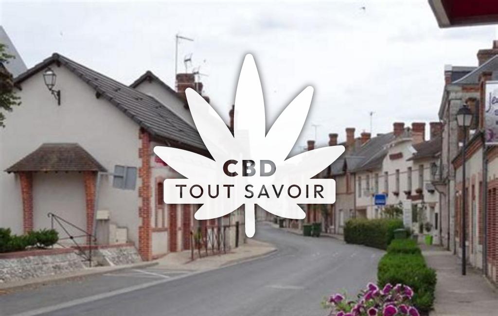 Village à Montrieux-en-Sologne avec feuille Cannabis CBD