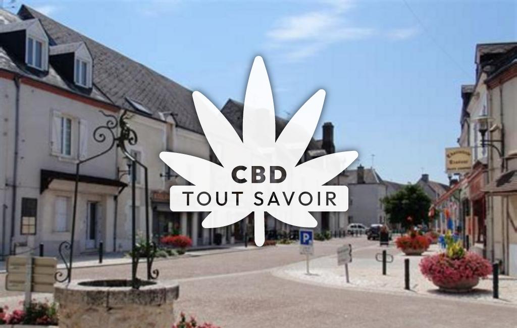 Village à Saint-Laurent-Nouan avec feuille Cannabis CBD