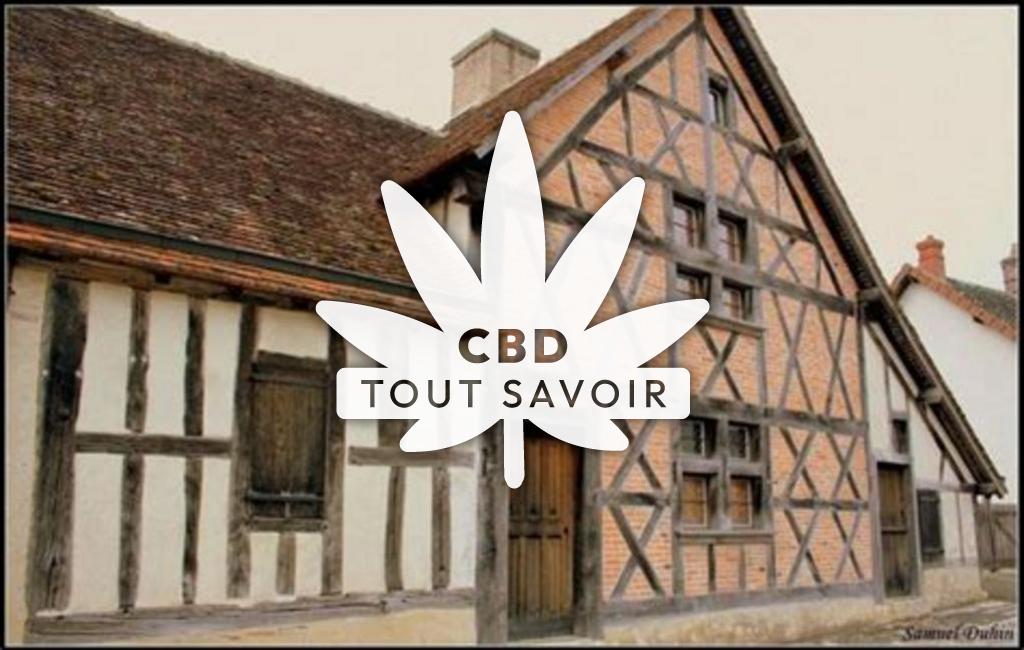 Village à Veilleins avec feuille Cannabis CBD