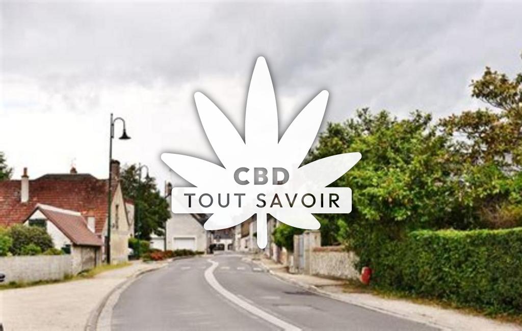 Village à Bracieux avec feuille Cannabis CBD