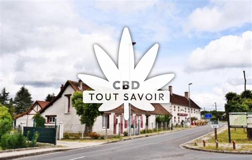 Village à Neuvy avec feuille Cannabis CBD