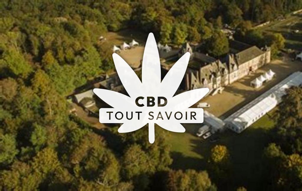 Village à Tour-en-Sologne avec feuille Cannabis CBD