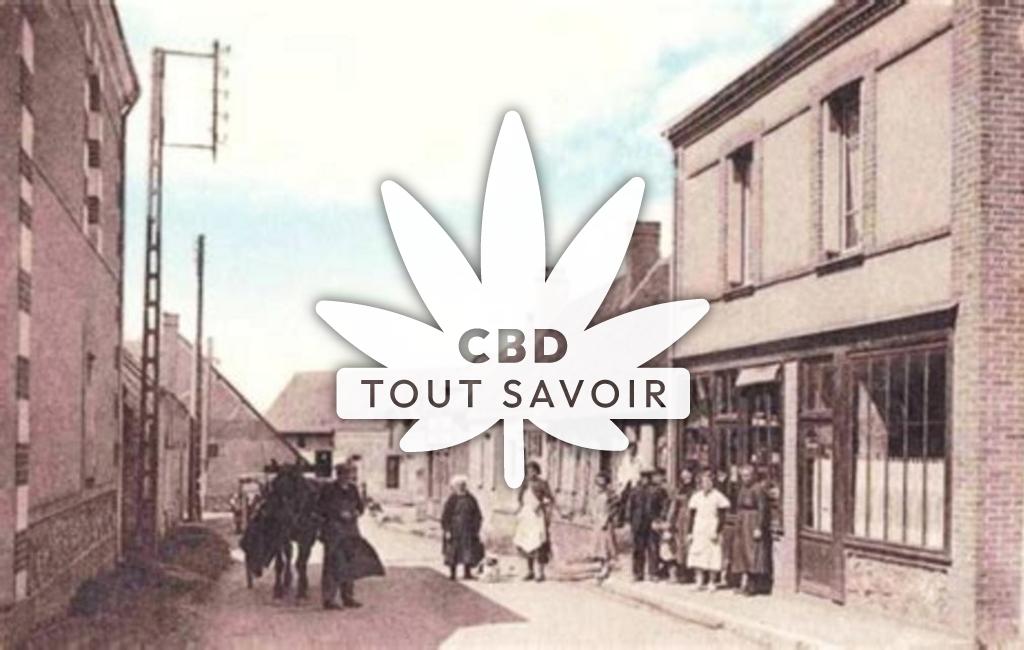 Village à Chauvigny-du-Perche avec feuille Cannabis CBD