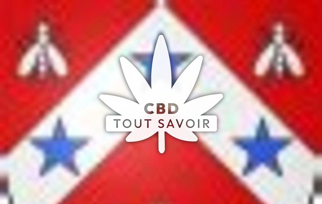 Village à Ruan-sur-Egvonne avec feuille Cannabis CBD