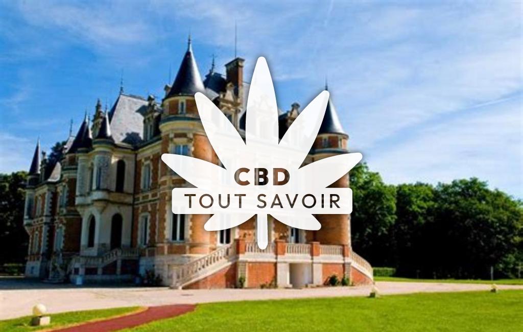 Village à La-Ferte-Imbault avec feuille Cannabis CBD