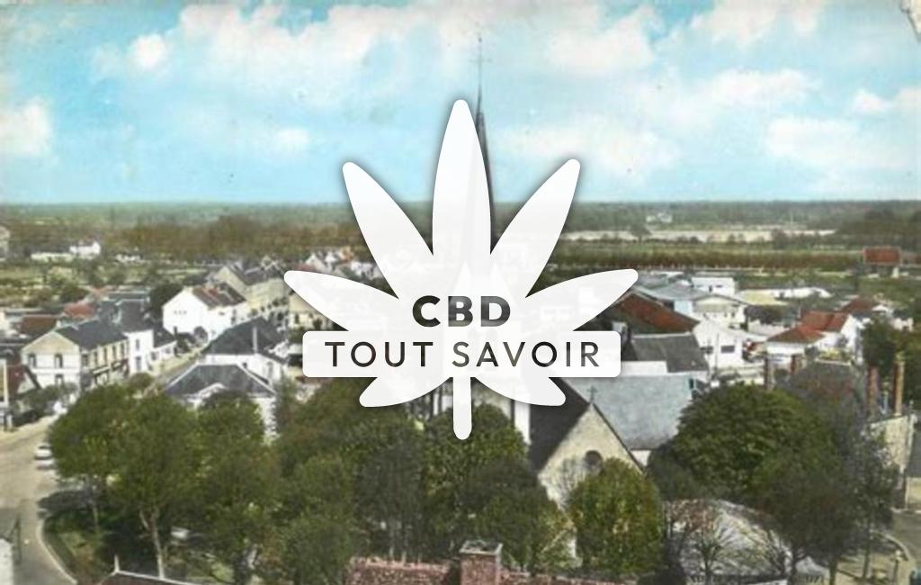 Village à Theillay avec feuille Cannabis CBD
