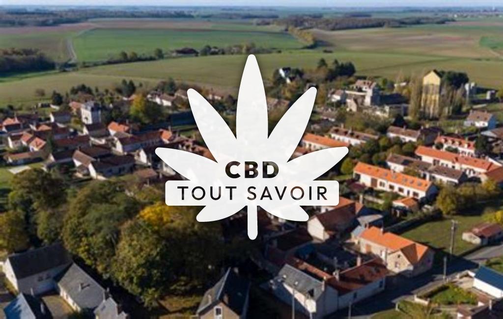 Village à Champigny-en-Beauce avec feuille Cannabis CBD