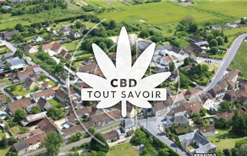 Village à Huisseau-sur-Cosson avec feuille Cannabis CBD