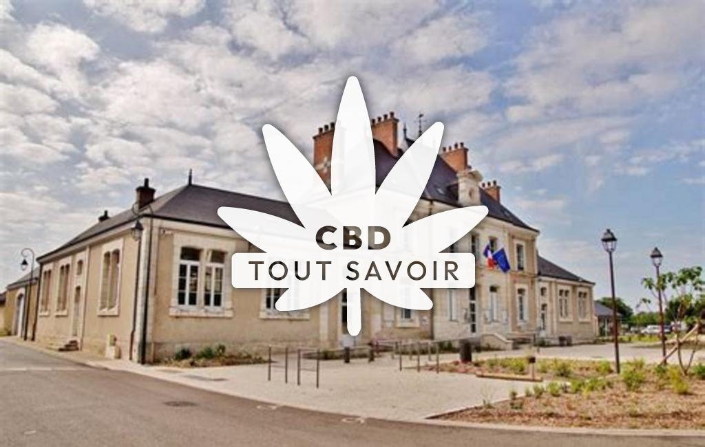 Village à Montlivault avec feuille Cannabis CBD