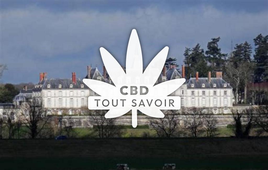 Village à Saint-Claude-de-Diray avec feuille Cannabis CBD