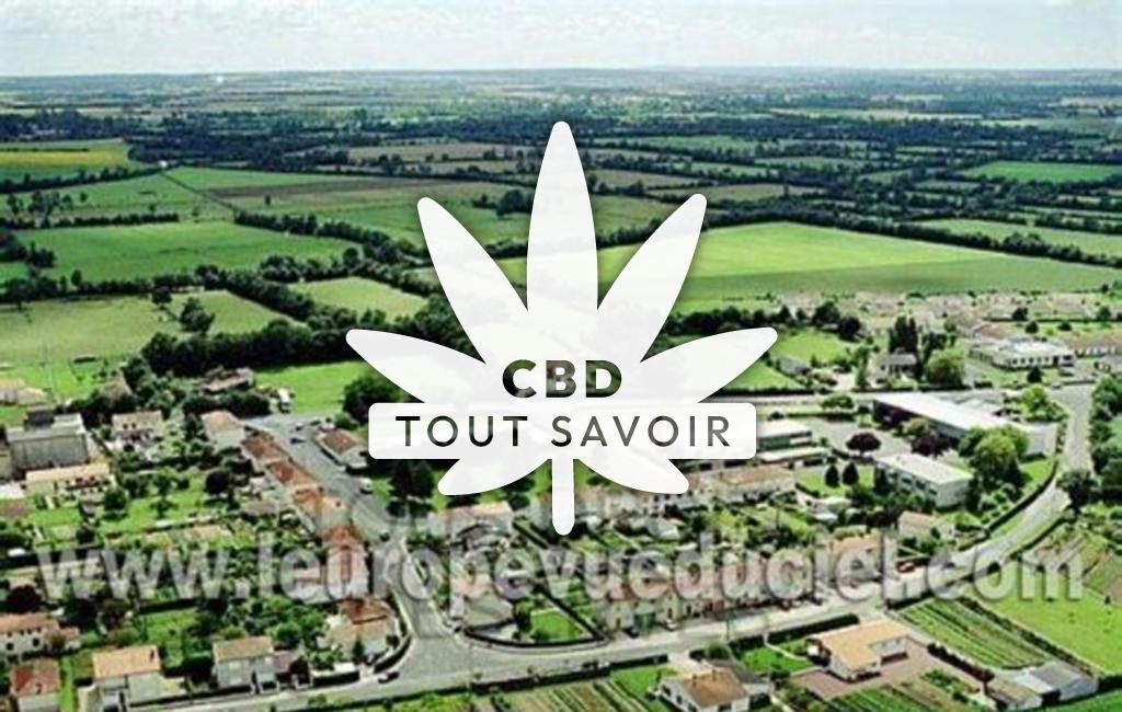 Village à Briou avec feuille Cannabis CBD