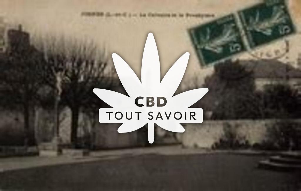 Village à Josnes avec feuille Cannabis CBD