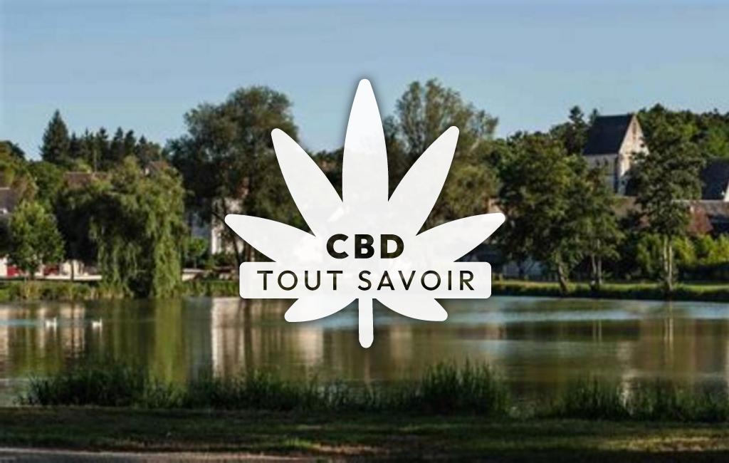 Village à Monthou-sur-Cher avec feuille Cannabis CBD