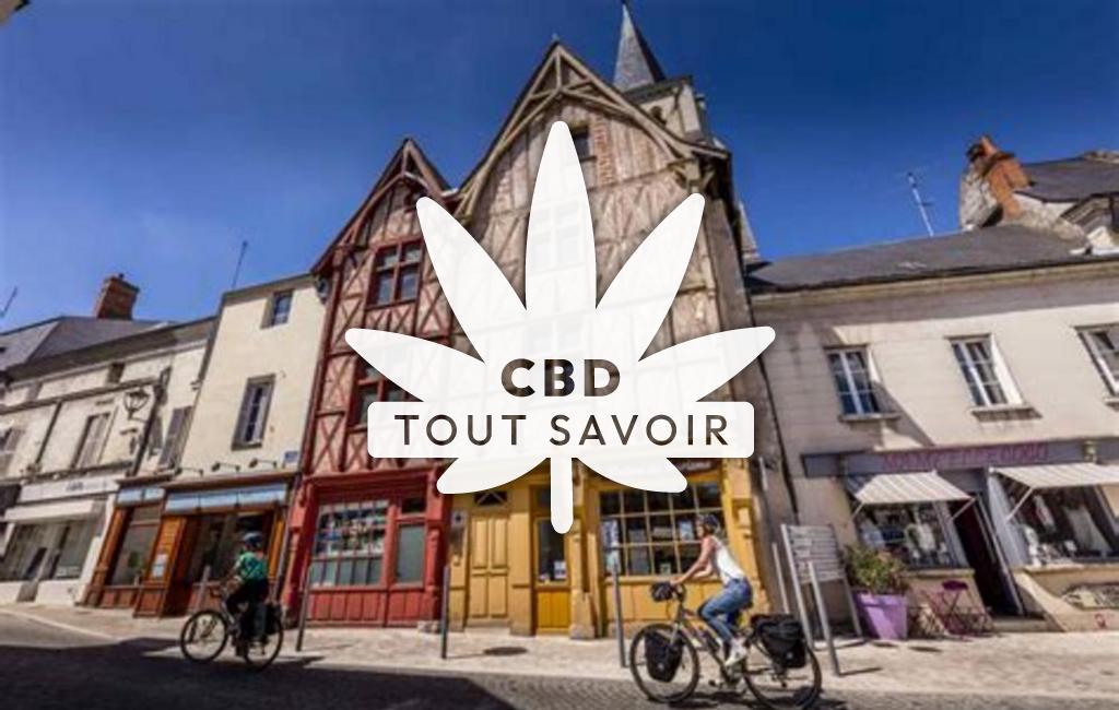 Village à Montrichard-Val-de-Cher avec feuille Cannabis CBD