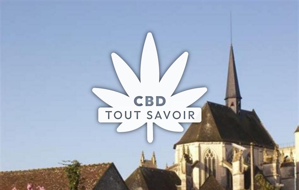 Village à Pontlevoy avec feuille Cannabis CBD