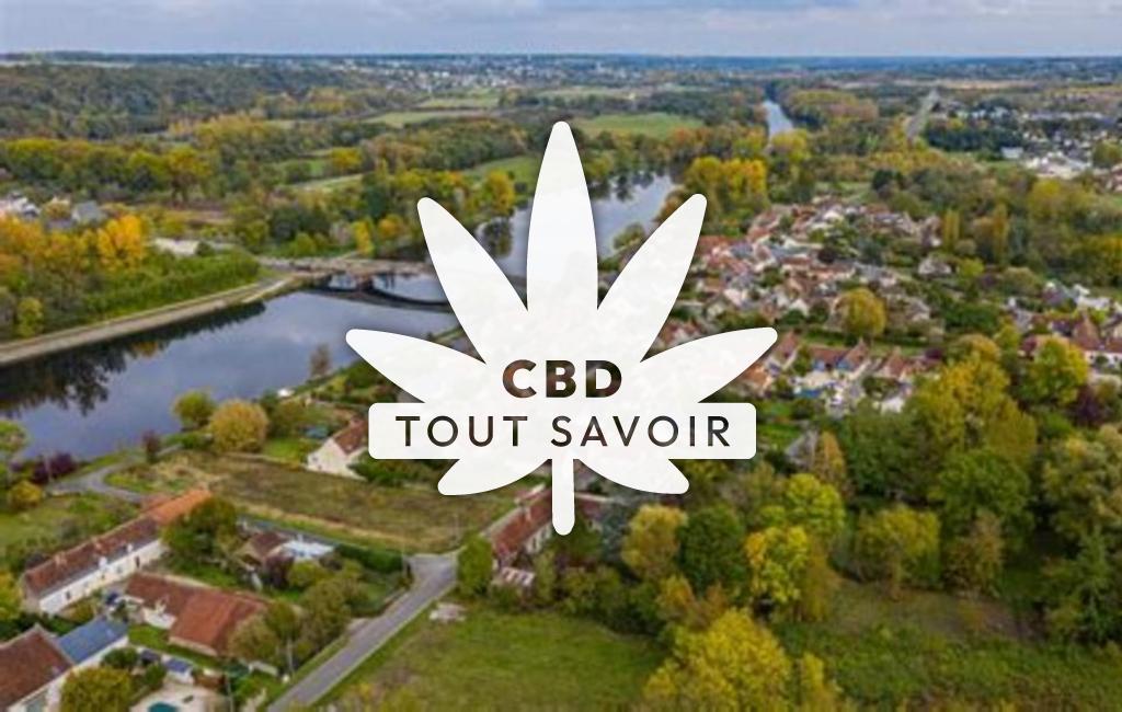 Village à Saint-Georges-sur-Cher avec feuille Cannabis CBD
