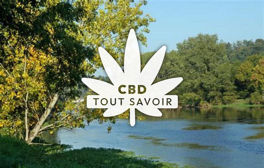 Village à Saint-Julien-de-Chedon avec feuille Cannabis CBD