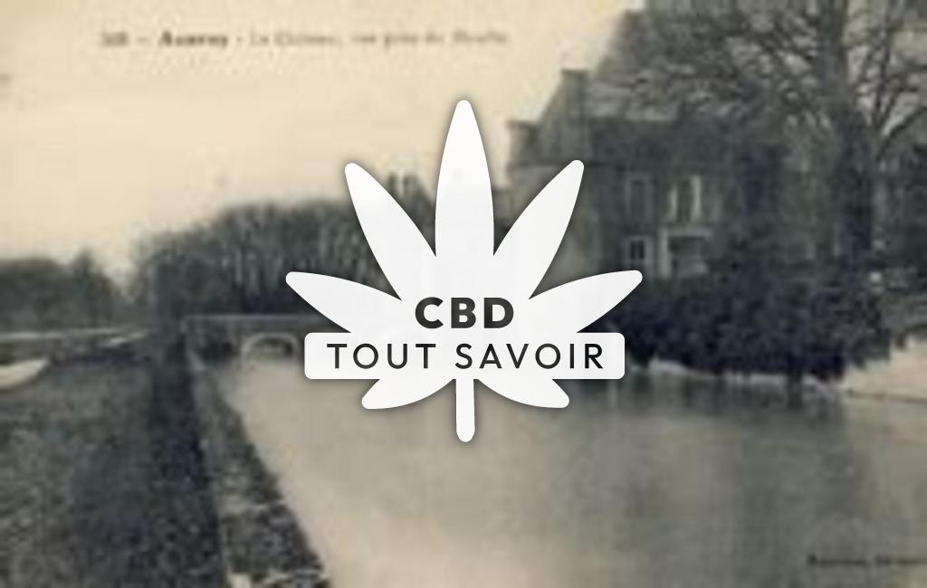 Village à Avaray avec feuille Cannabis CBD