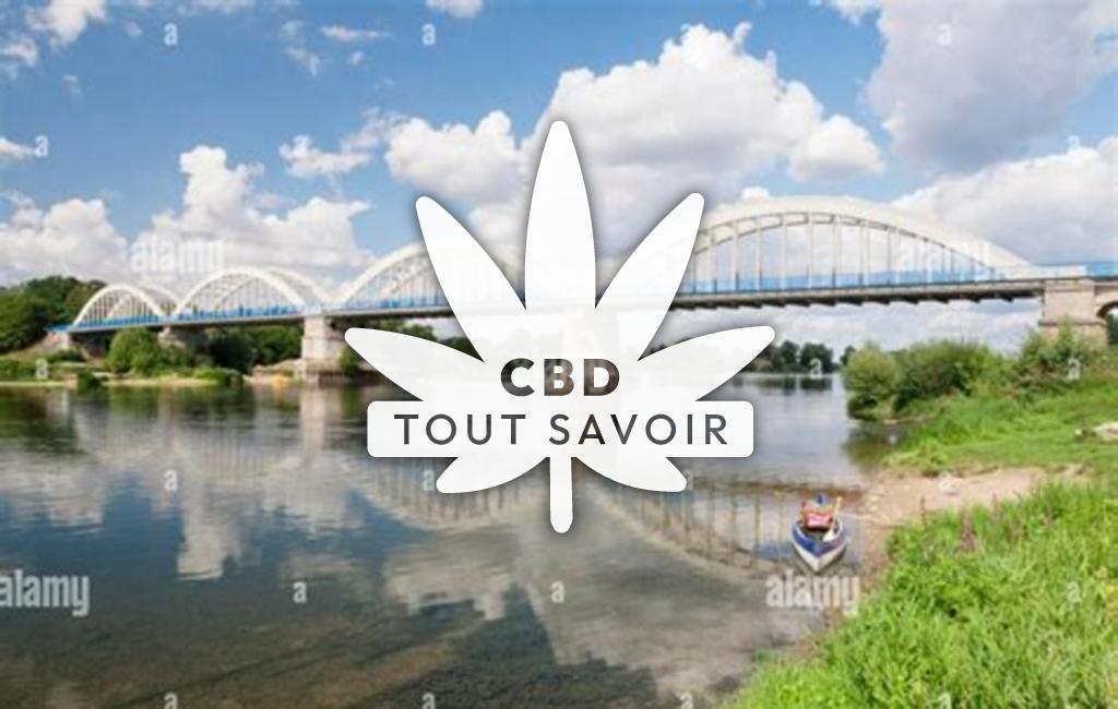 Village à Muides-sur-Loire avec feuille Cannabis CBD