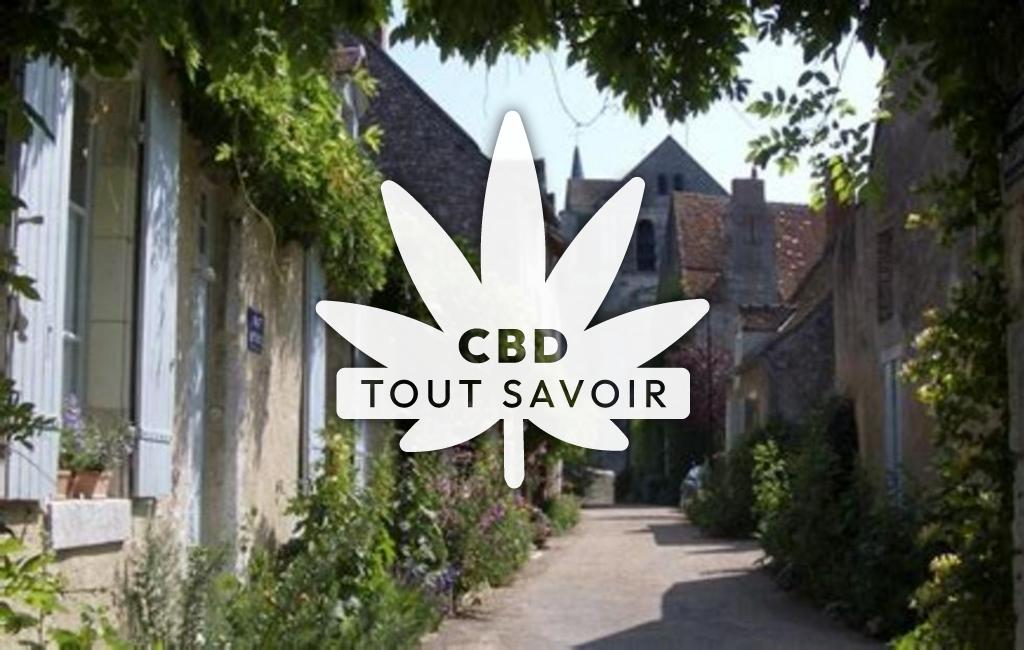 Village à Saint-Dye-sur-Loire avec feuille Cannabis CBD