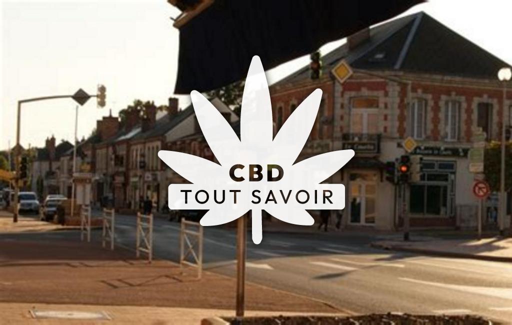 Village à Lamotte-Beuvron avec feuille Cannabis CBD